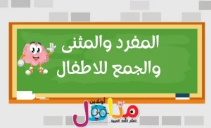 الاسم المفرد,المثنى والجمع للاطفال والفرق بينهم