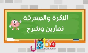 فهم النكرة والمعرفة في اللغة العربية: تعريف شرح تمارين امثلة وأقسام